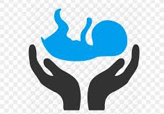 Obstetrics Icon